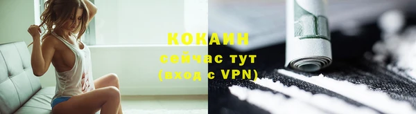 mix Бородино